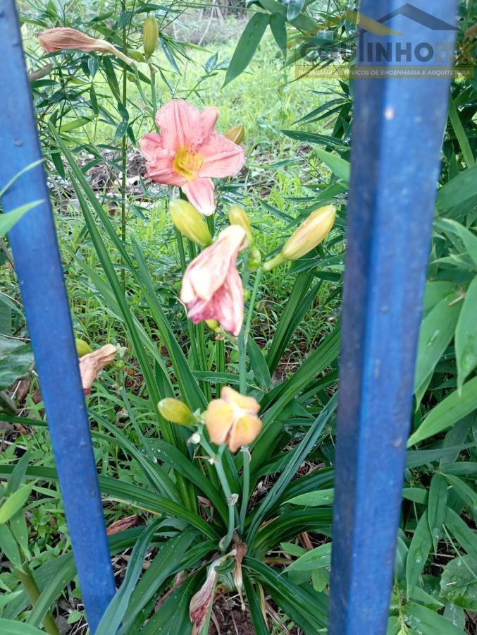 WhatsApp Image 2025-03-27 at 11.09.40 (3).jpeg